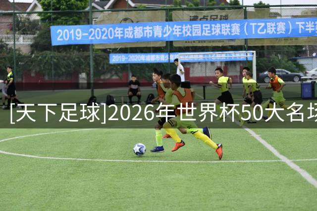 [天下足球]2026年世界杯50大名场面